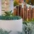 native plants