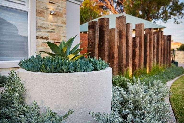 native plants